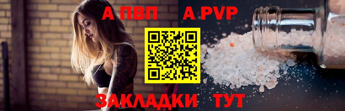 A PVP СК КРИС Лесосибирск