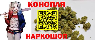 гидра Заволжье